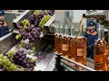 Lagu What REALLY Happens Inside a Wine Factory? (What They Don't Show) - Process Factory