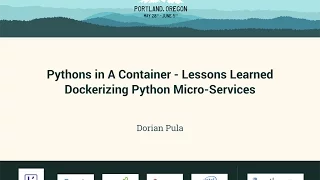 Dorian Pula - Pythons in A Container