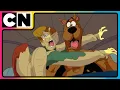 Download Lagu Scooby and the Squad’s Clever Capture! | Scooby Doo 🐶 | Compilation | 90's cartoon | @cnindia