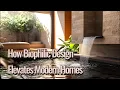 Transform Your Space How Biophilic Design Elevates Modern Homes