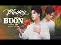 Download Lagu Phượng Buồn - Thành Đạt | Music Video || Em đến với anh vào một ngày trời đẹp nắng