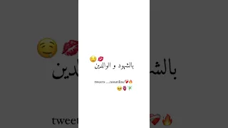 حالات واتس اب Cheb Mouiz صاي رانا مخطوبين 