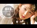 丁当——猜不透||越是在乎的人越是猜不透【動態歌詞Lyrics】