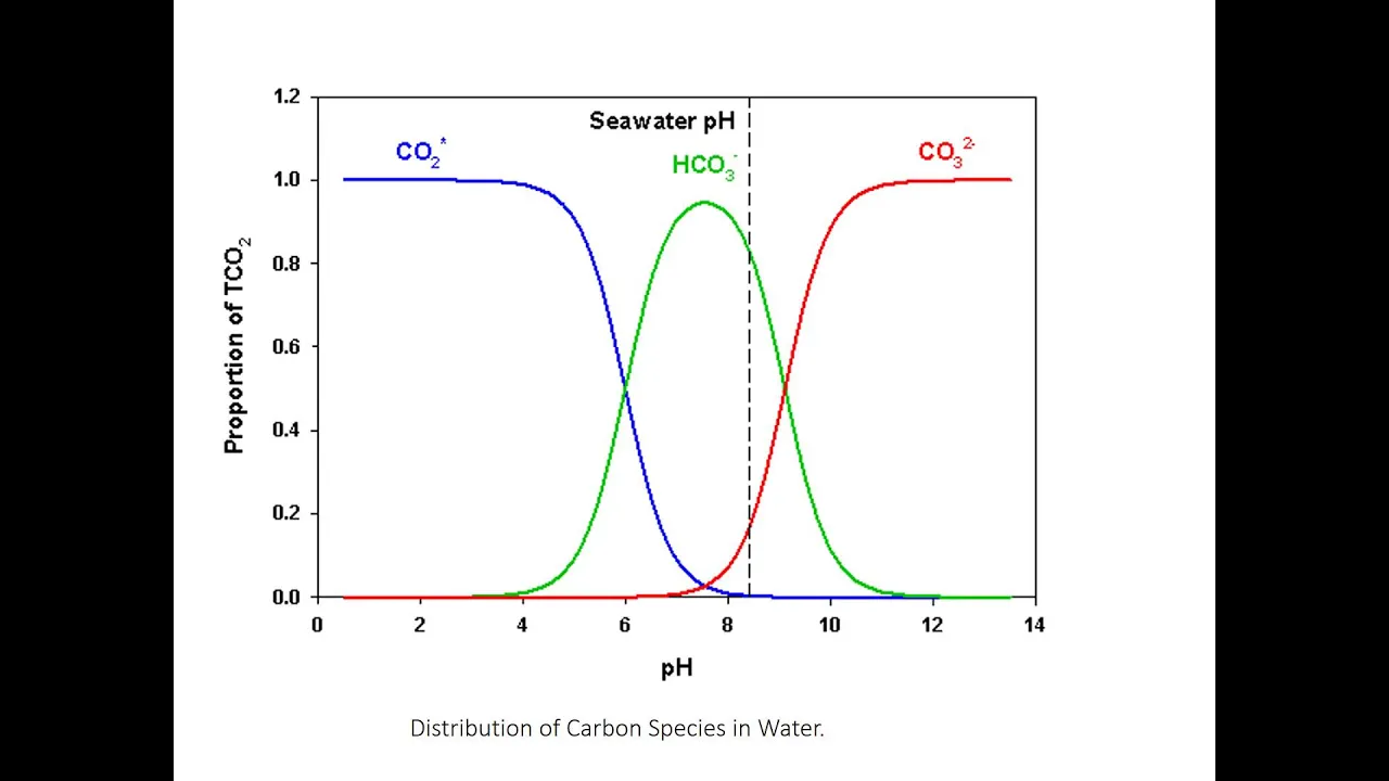 DIC The Carbonate System In the Ocean