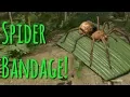 16 Tips For Complete Beginners Green Hell