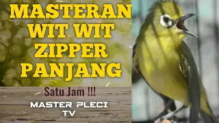 MASTERAN WIT WIT ZIPPER PANJANG  [[ BIKIN PLECI NEMBAK NGESAP FULL POWER ]]