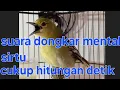 Lagu Suara dongkrak mental burung sirtu cukup hitungan detik  sirtu akan makin nambah emoso mental tinggi
