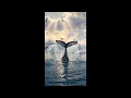 Whale Tail Farewell