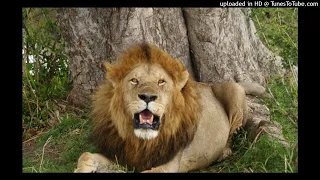 INAGA IGESHAGA ULEMBHELE 