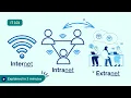 Internet vs Intranet vs Extranet beginner-friendly analogy in 3 mins