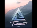 Novel (Tritonia 379)
