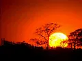 MICHAEL SCHENKER LESLIE WEST[ BLOOD OF THE SUN ] AUDIO-TRACK