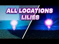 ALL LOCATIONS SPAWN LILIES - Project Slayers