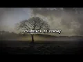 Okean Elzy - Kvity minnykh zon | Cover by COLOR MUSIC Children's Choir (Official Lyrics Video)