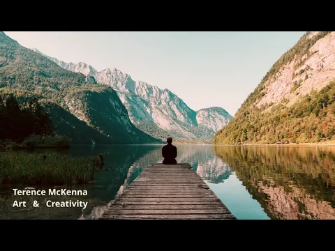 Terence McKenna Chillstep Mix - Art & Creativity