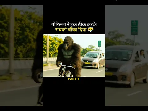 गोरिल्ला का खतरनाक कारनामा 🤯 #shorts