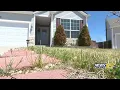 Family discovers scammers put house in Colorado Springs up for rent