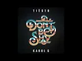Tiësto & Karol G - Don't Be Shy (MTV Clean Version)