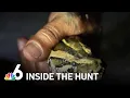 Eight hours Tow 7-foot pythons Inside an overnight Everglades hunt