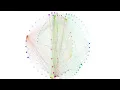 Mesmerizing Geometric Chord Patterns Generative Art Math Visualizer