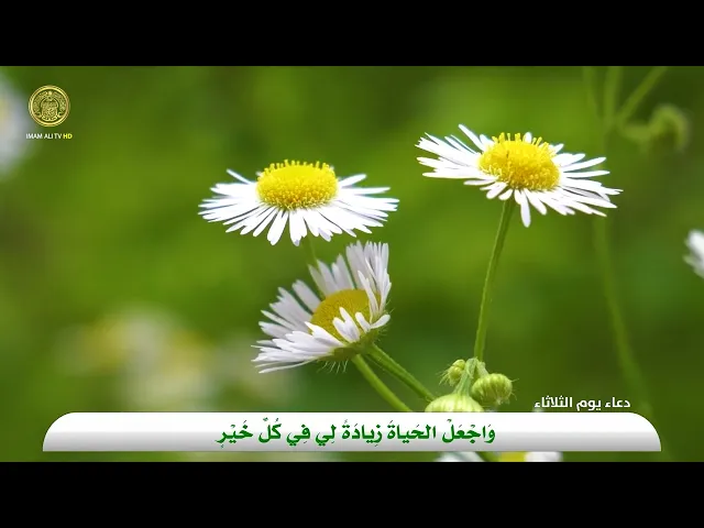 ⁣دعاء يوم الثلاثاء