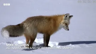 Audio description narration and writing example