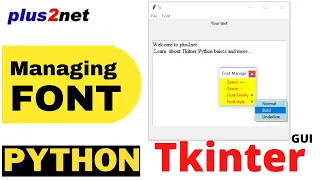 Tkinter managing font family size and style of text widget from menu bar