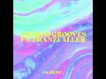 Locked Grooves (feat. Franzi Aller)
