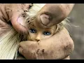 Download Lagu Barbie Girl - Tisto Remix - Aqua - Slowed