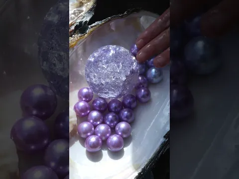 Giant clams, oversized purple pearls