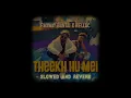 Theekh hu mei (Emiway-Bantai) || slowed and reverb || lofi version.