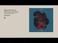 Mammal Hands - Gift from the Trees (Official Album Video)
