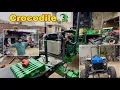 Download Lagu Crocodile De Karta Fit intercooler 🐊🔥| Eagle V Karta Ok 🦅| Lucky Goldsmith