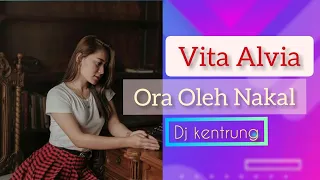 Download Ora Oleh Nakal - Vita Alvia Dj kentrung Full bass Loss bass MP3