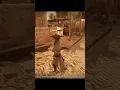 Download Lagu Basim’s Most Devastating Finishes You Need to See -  Assassin’s Creed Mirage