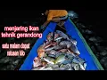Download Lagu menjaring ikan tehnik gerandong hasil ratusan kilo satu malam 🤑🤑