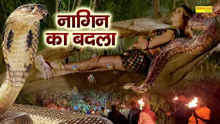  nagin ka badla kunal singh rajput raveena bishnoi superhit film 2023