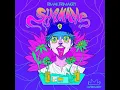 Download Lagu Shamane [FULL ALBUM] - Rimak Frimakry