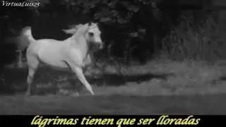 Download Wild Horses The Rolling Stones  subtitulado Español MP3