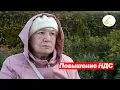 Download Lagu Россияне о повышении НДС до 22%. Опрос на улицах Перми