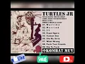 Download Lagu Turtles jr - Die my girls Full album
