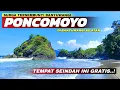 Surga Tersembunyi Banyuwangi Selatan! Melihat Keindahan Poncomoyo Terbaru 2025 (#2 Trip Kandangan)