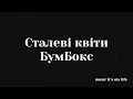 БумБокс - Сталеві квіти (Lyrics) BOOMBOX - Stalevi Kvity / Steel Flowers