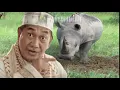 Download Lagu Yang Asli Yang Ada Badaknya Tapi Badaknya Asli...