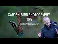 Garden Bird Photography Tips