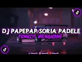 Download Lagu DJ PAPEPAP SORIA PADELE FUNKOT VIRAL TIKTOK MENGKANE