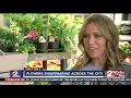 Tulsa homeowners notice garden theft across the city