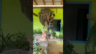 Tentei Fazer uma Caixa de Marimbondo e Tudo Deu Errado!