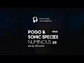 Pogo & Sonic Species - Numinous - 3D Binaural mix by Oli Larkin (wear headphones!)