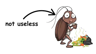 Why Do Cockroaches Even Exist? 🪳